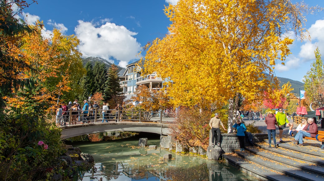 Whistler Village which includes a garden, a pond and autumn leaves