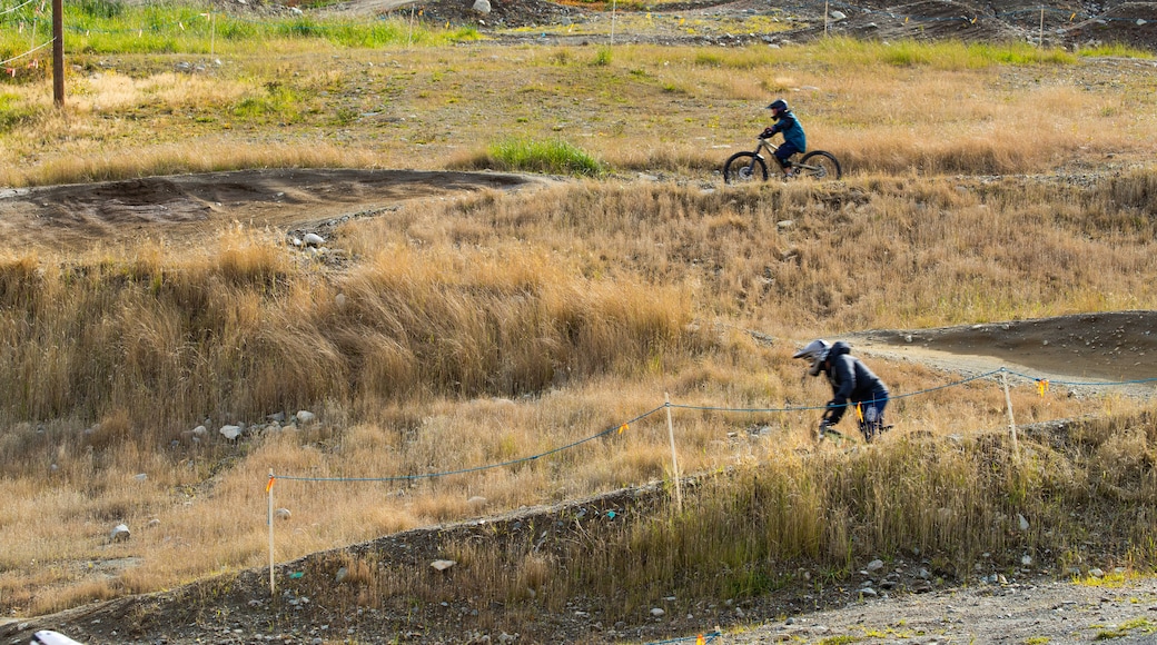 Whistler Mountain Bike Park showing mountain biking