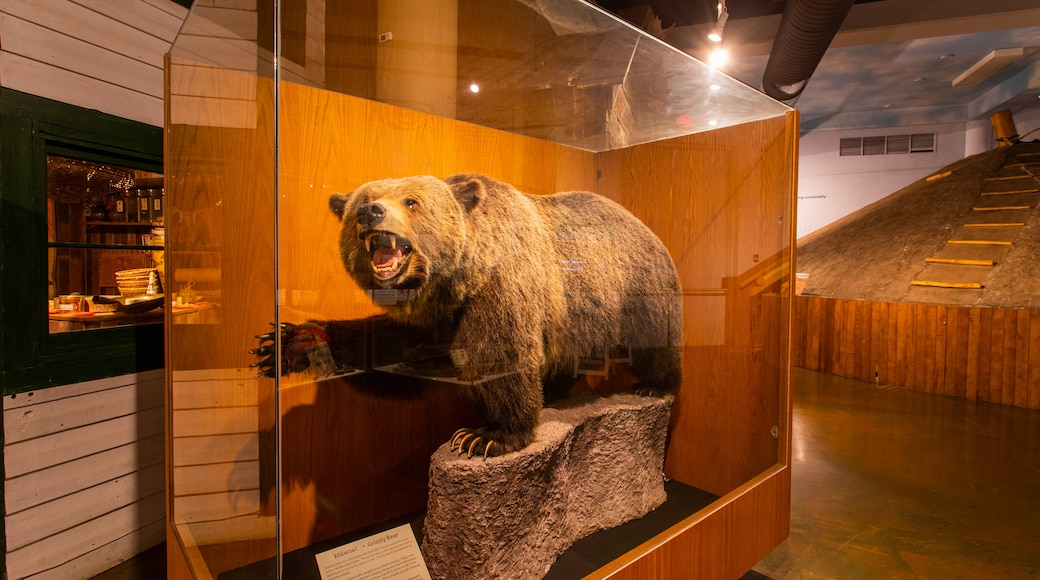 Okanagan Heritage Museum