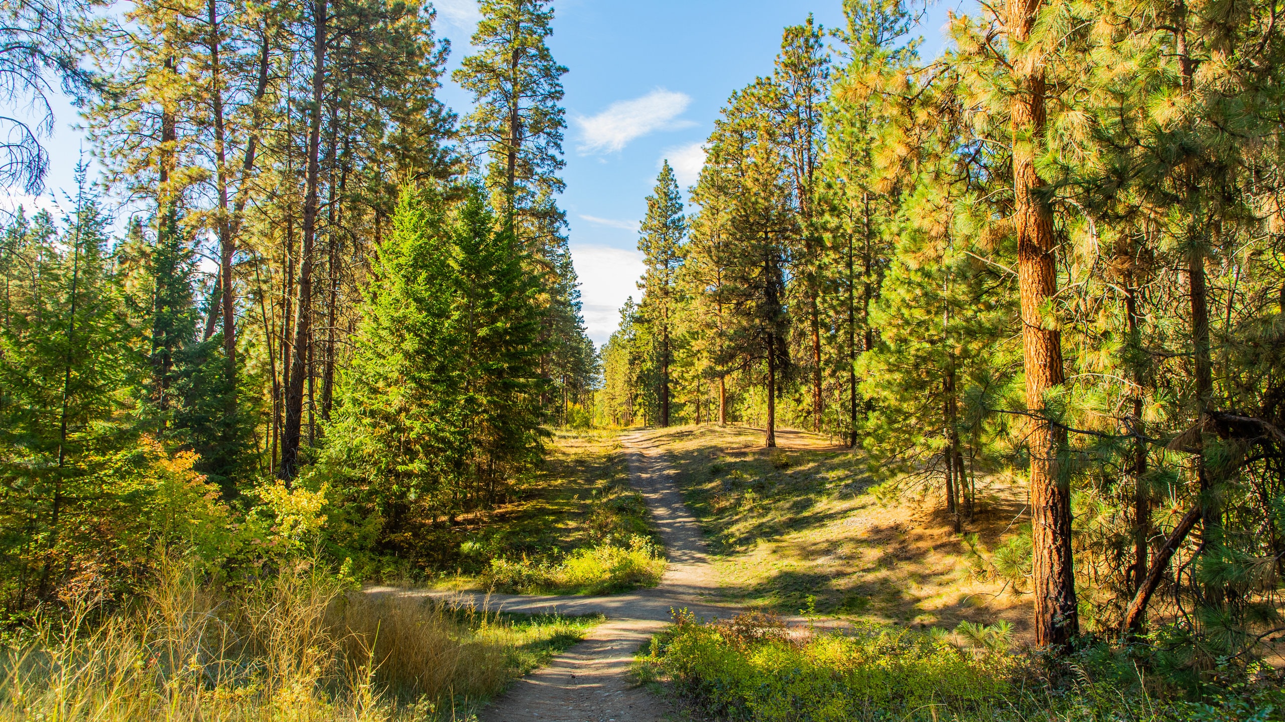 Mission Creek Regional Park, Kelowna Vacation Rentals house rentals