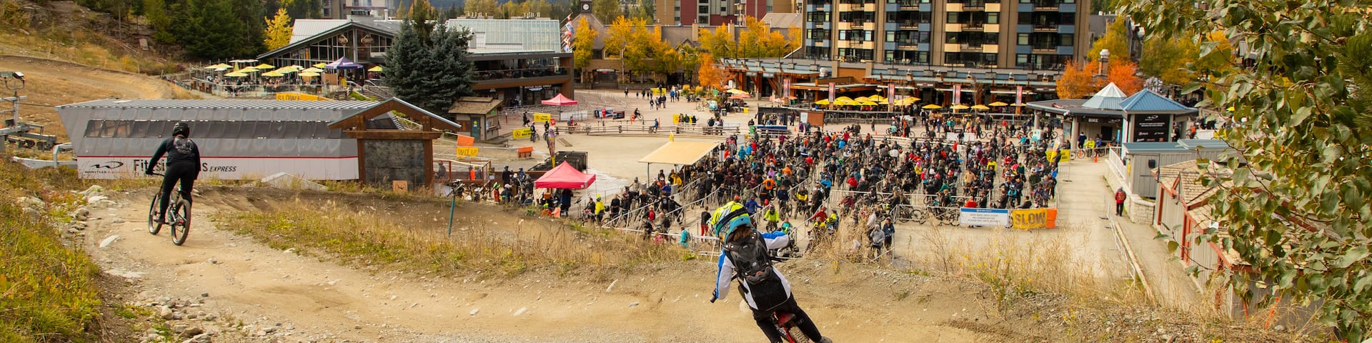 Whistler Mountain Bike Park featuring mountain biking