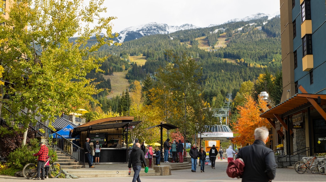 Whistler Village showing a small town or village and street scenes