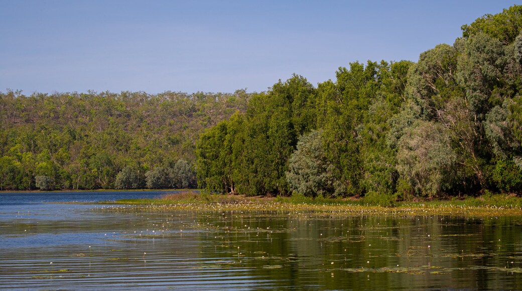Manton Dam Recreation Area