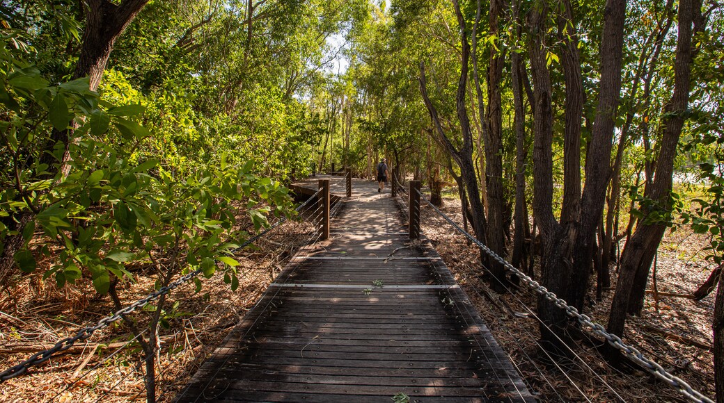 Manton Dam Recreation Area