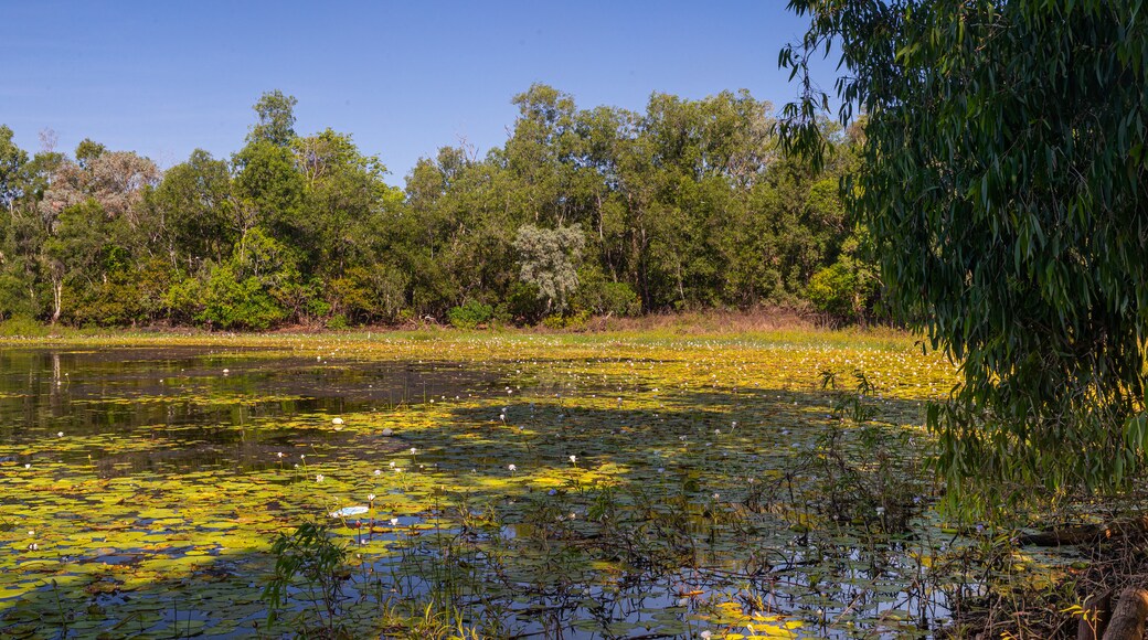 Manton Dam Recreation Area