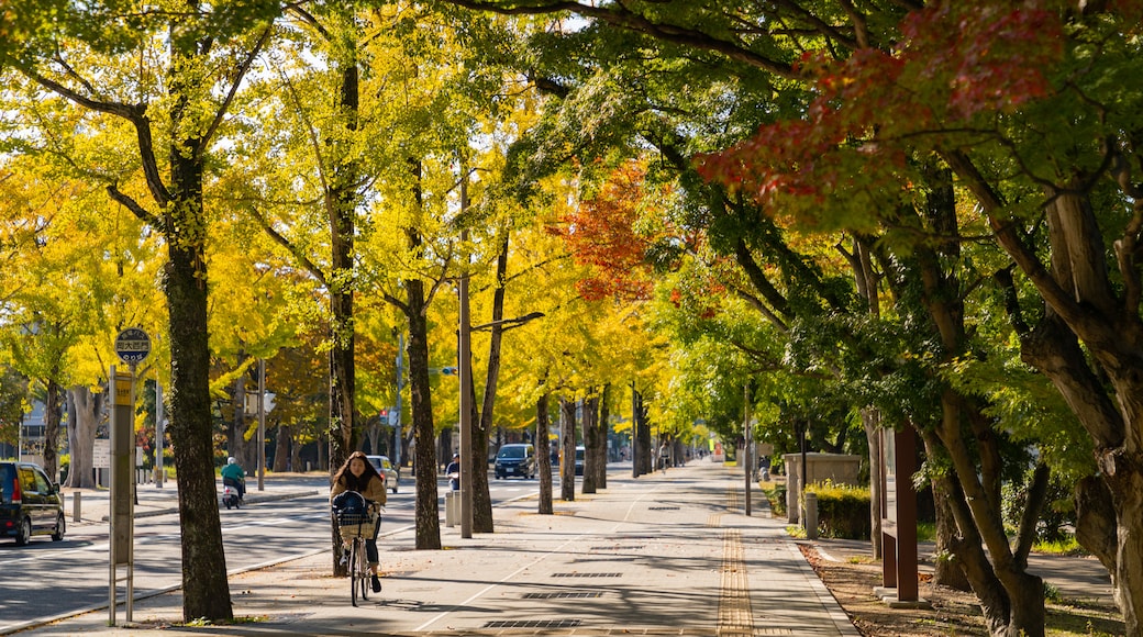 岡山大学