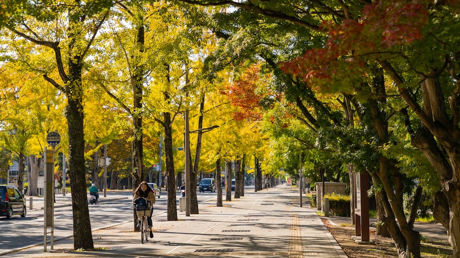 Okayama University