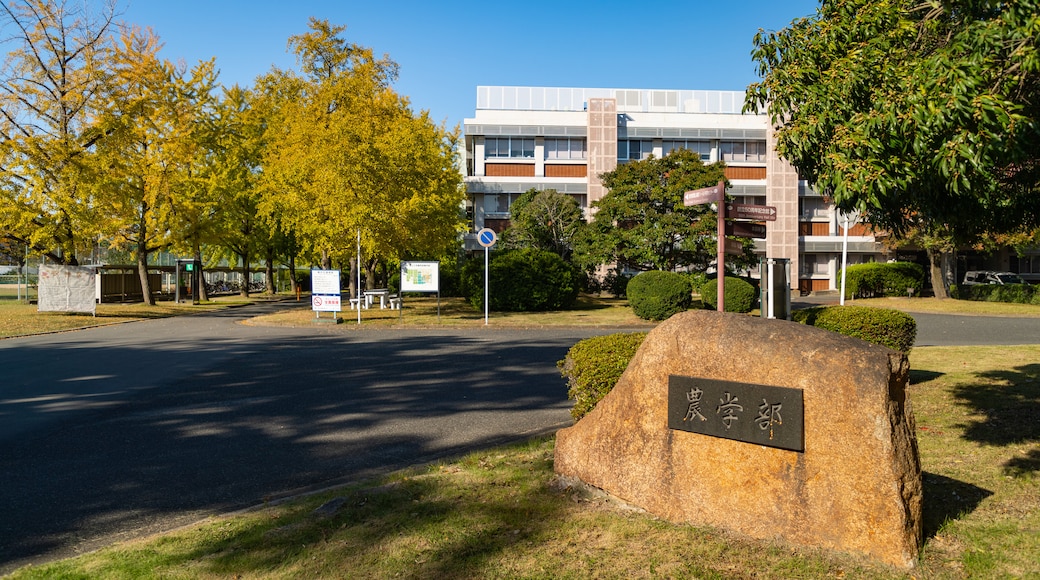 岡山大学