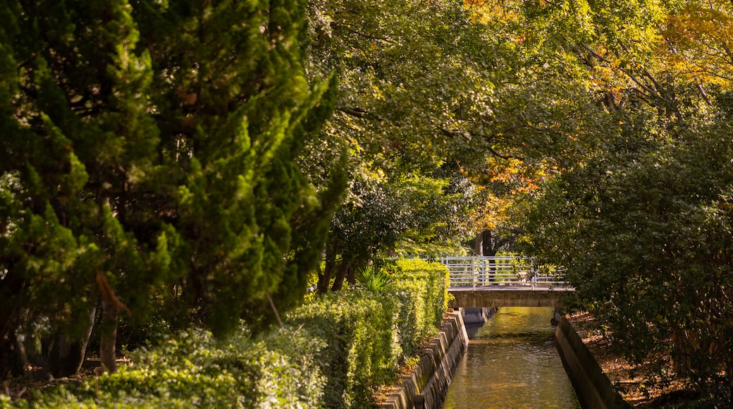 Okayama University