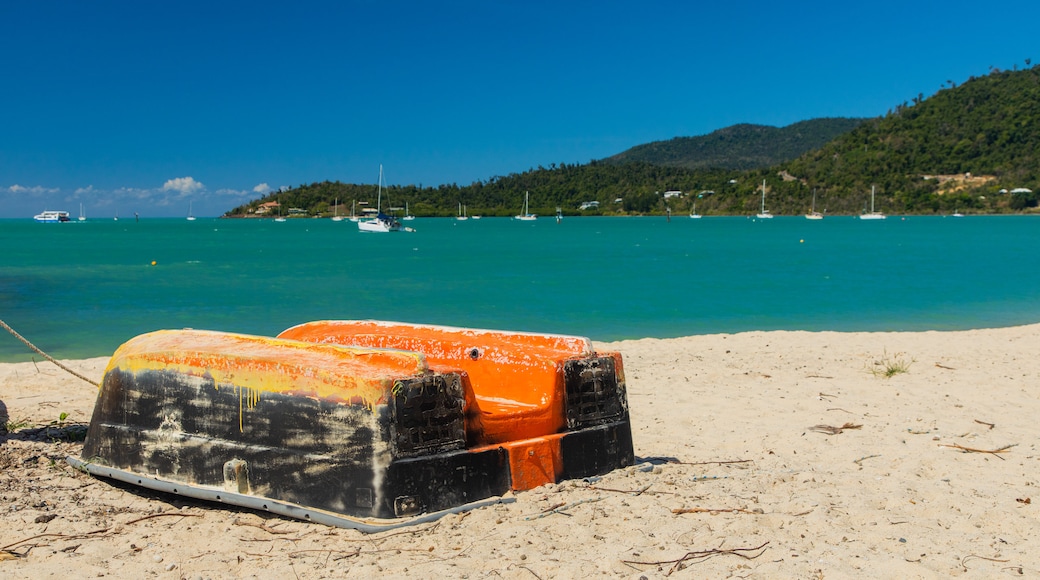 Plage de Boathaven Beach