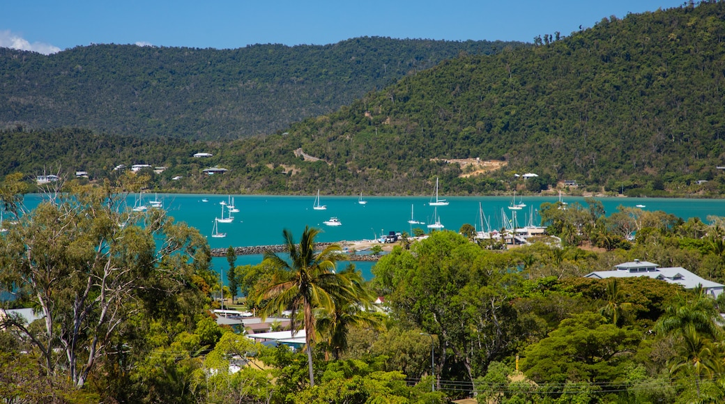 Airlie Beach showing general coastal views and a bay or harbor