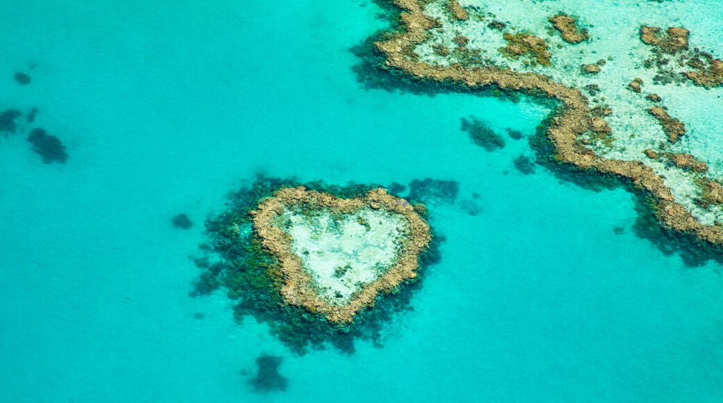 Heart Reef