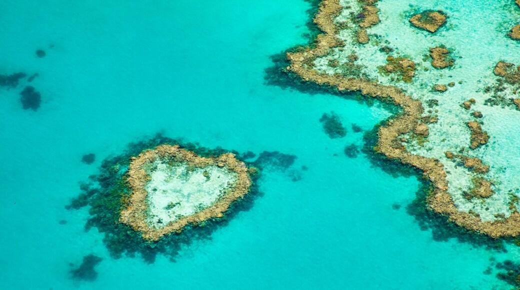 Heart Reef