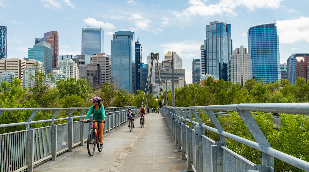 Prince\'s Island Park showing cycling, a city and a bridge