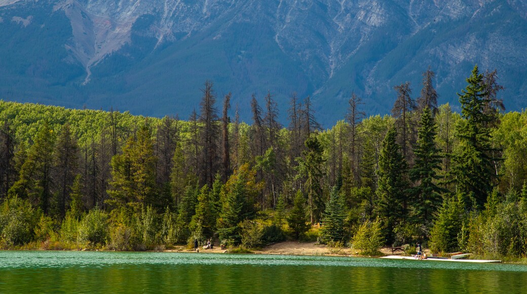 Yellowhead County