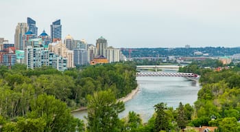 Bow River showing a city and a river or creek