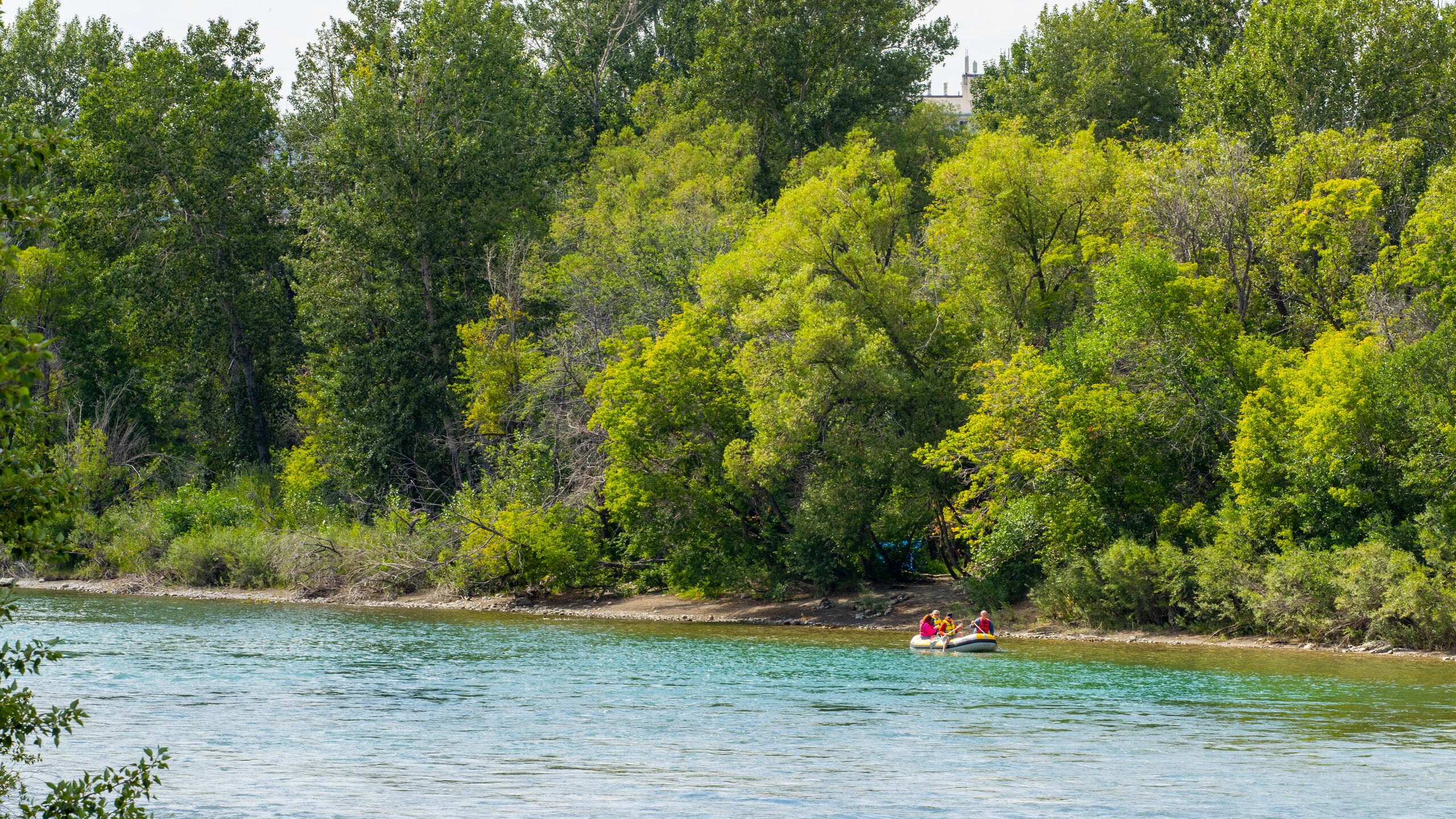 Bow River Vacation Rentals house rentals & more Vrbo