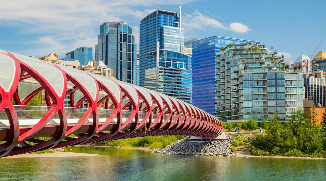 Peace Bridge showing a city, a bridge and a river or creek