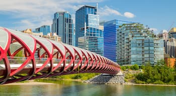 Peace Bridge showing a city, a bridge and a river or creek