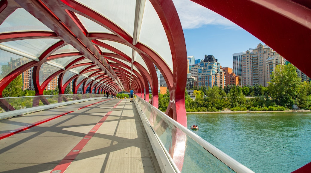 Peace Bridge