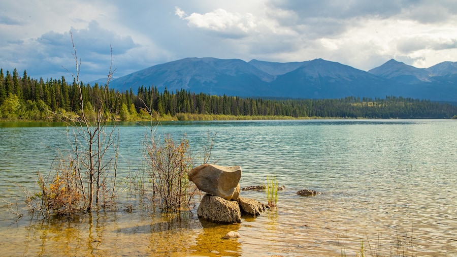 Patricia Lake showing a lake or waterhole