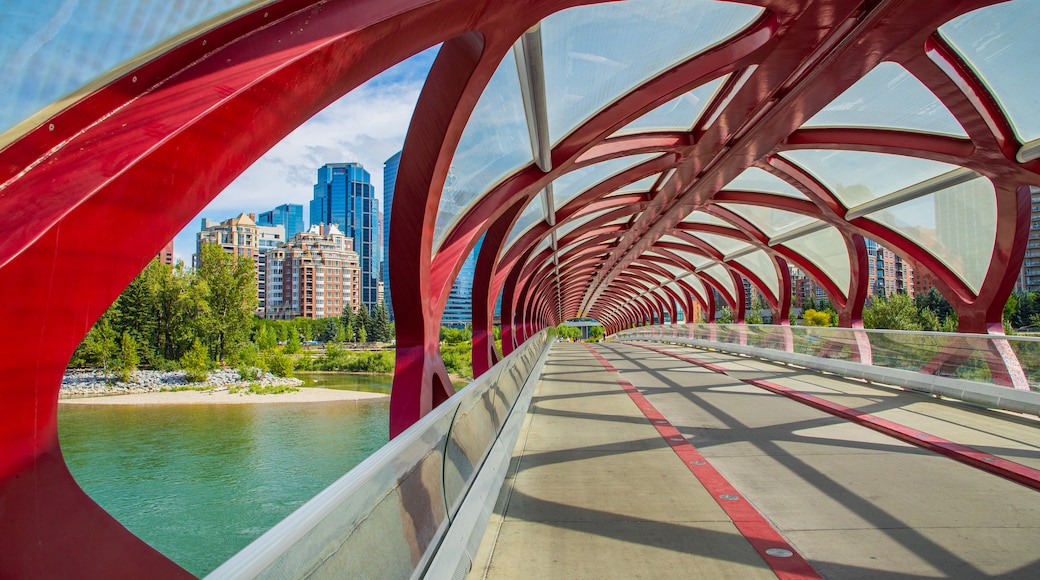 Puente de la Paz