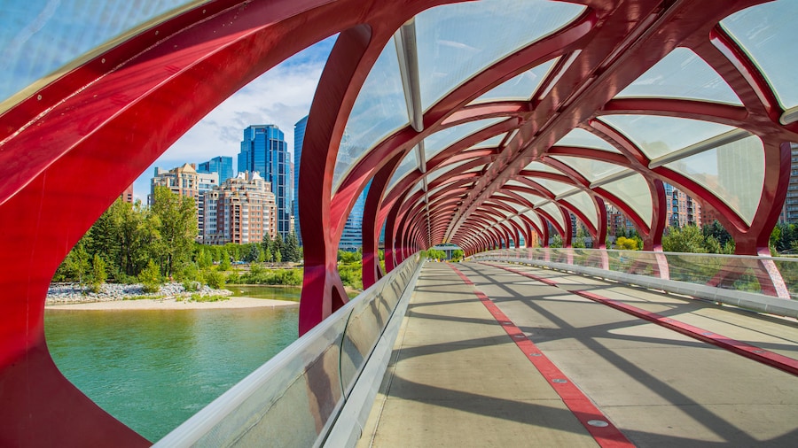Peace Bridge