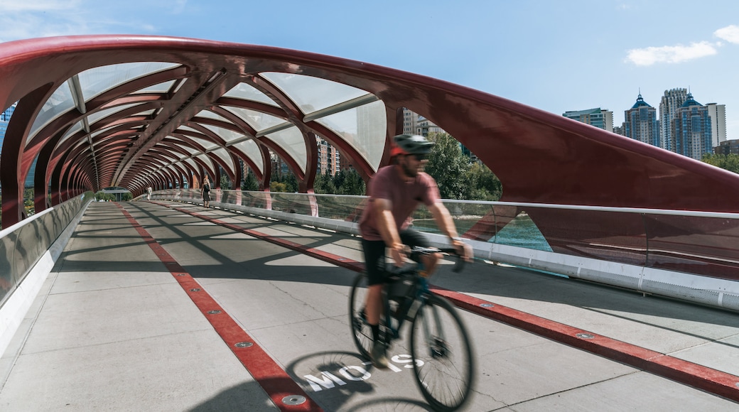 Peace Bridge featuring a bridge and cycling as well as an individual male