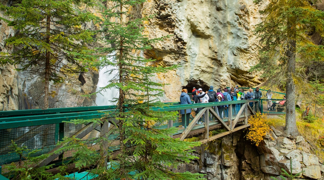 Johnston Canyon