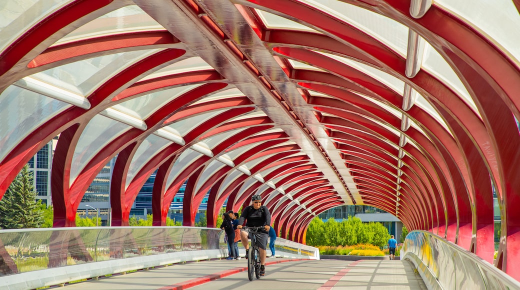 Peace Bridge featuring cycling and a bridge as well as an individual male