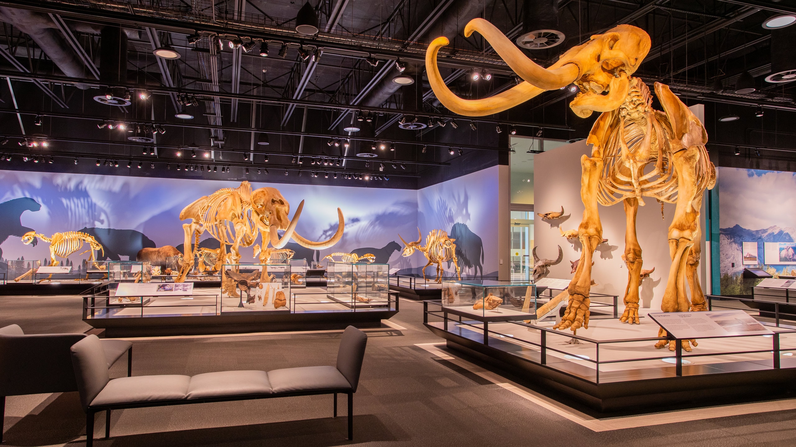 Discover more than 135 interior design jobs edmonton latest