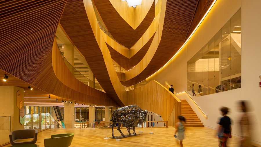 Calgary Central Library showing interior views and art