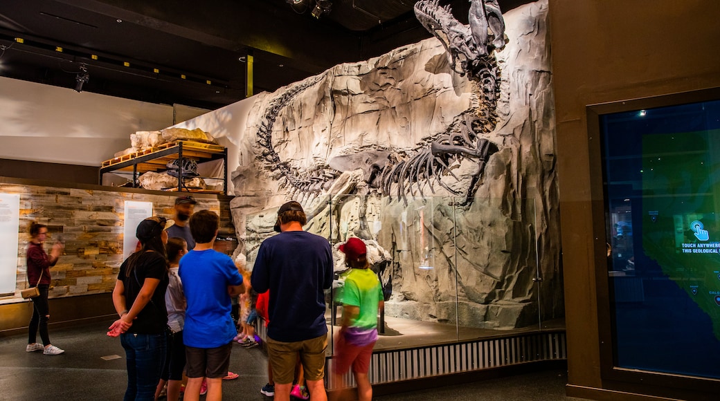 Royal Tyrrell Museum showing interior views and heritage elements as well as a family