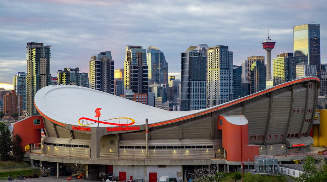 Scotiabank Saddledome showing landscape views, modern architecture and a city