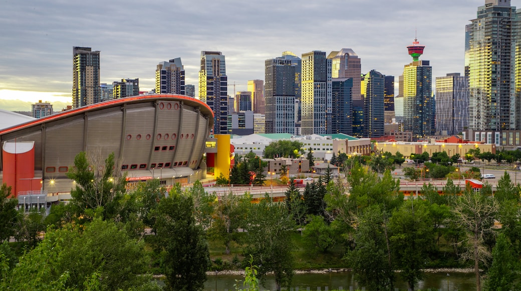 สเตเดียม Scotiabank Saddledome