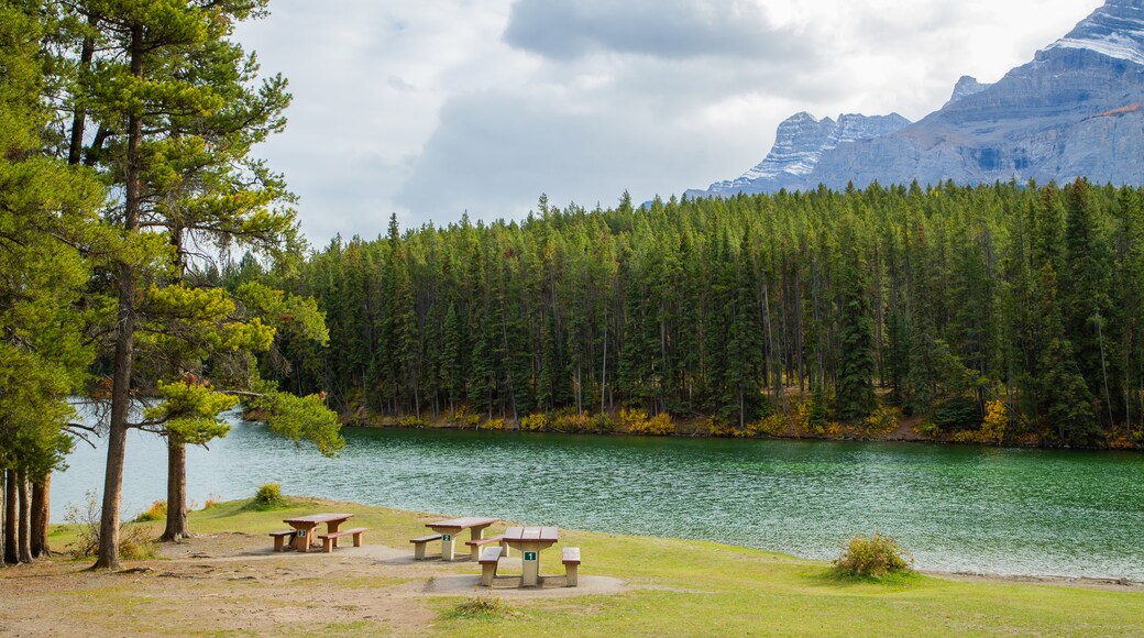 Minnewanka Loop / Lake Johnson which includes a river or creek, a garden and forests