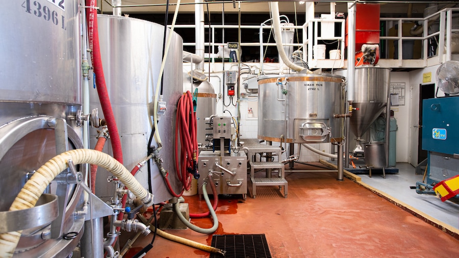 Alley Kat Brewery (ölbryggeri)