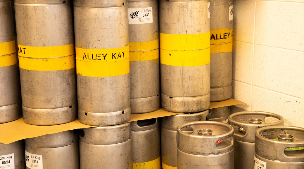 Alley Kat Brewery featuring interior views