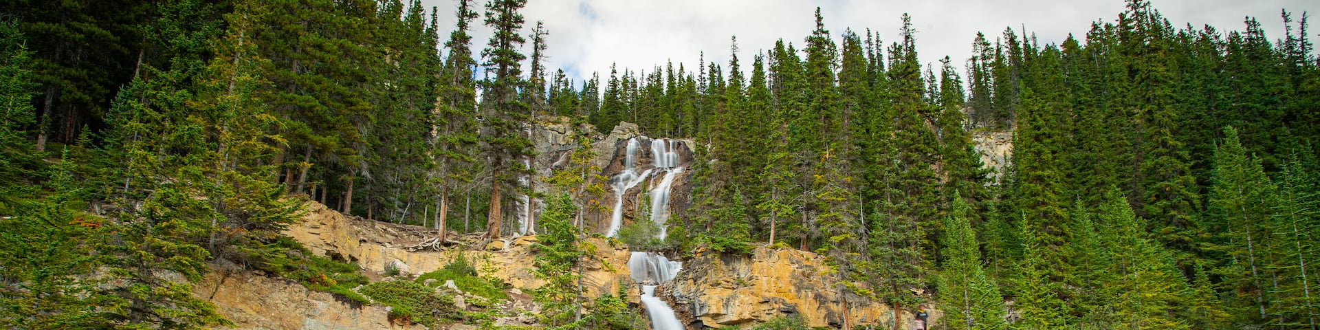 Tangle Falls showing forest scenes and a cascade