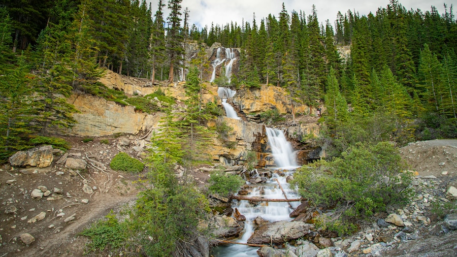 Tangle Falls (vattenfall)