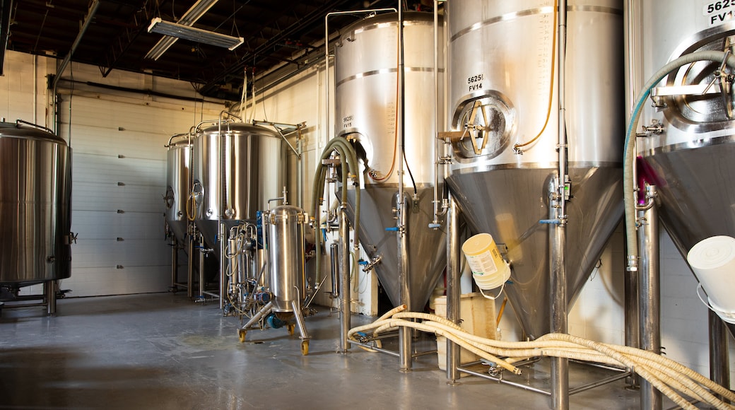 Alley Kat Brewery featuring interior views