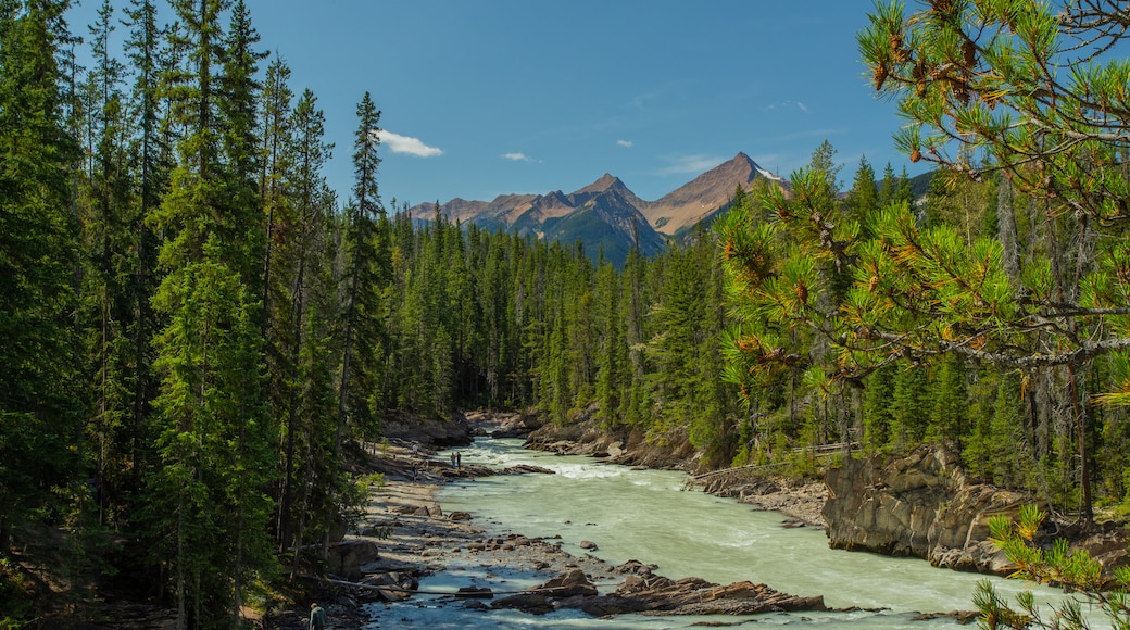 Natural Bridge which includes forests, rapids and a river or creek