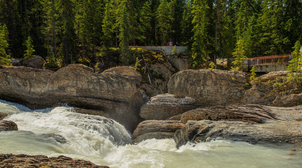 Natural Bridge which includes a river or creek, rapids and a gorge or canyon