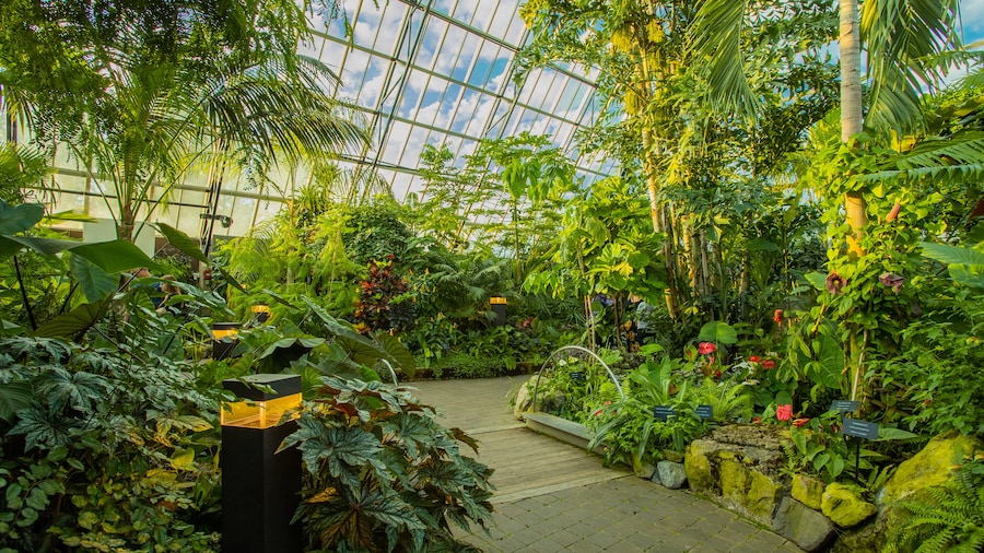 Muttart Conservatory