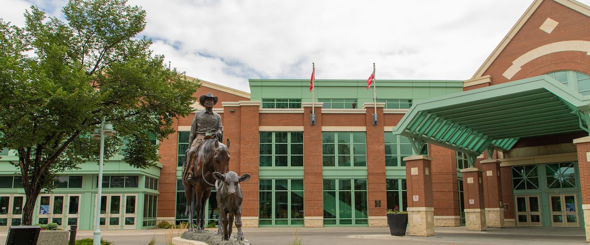 BMO Centre showing a statue or sculpture