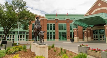 BMO Centre showing a statue or sculpture