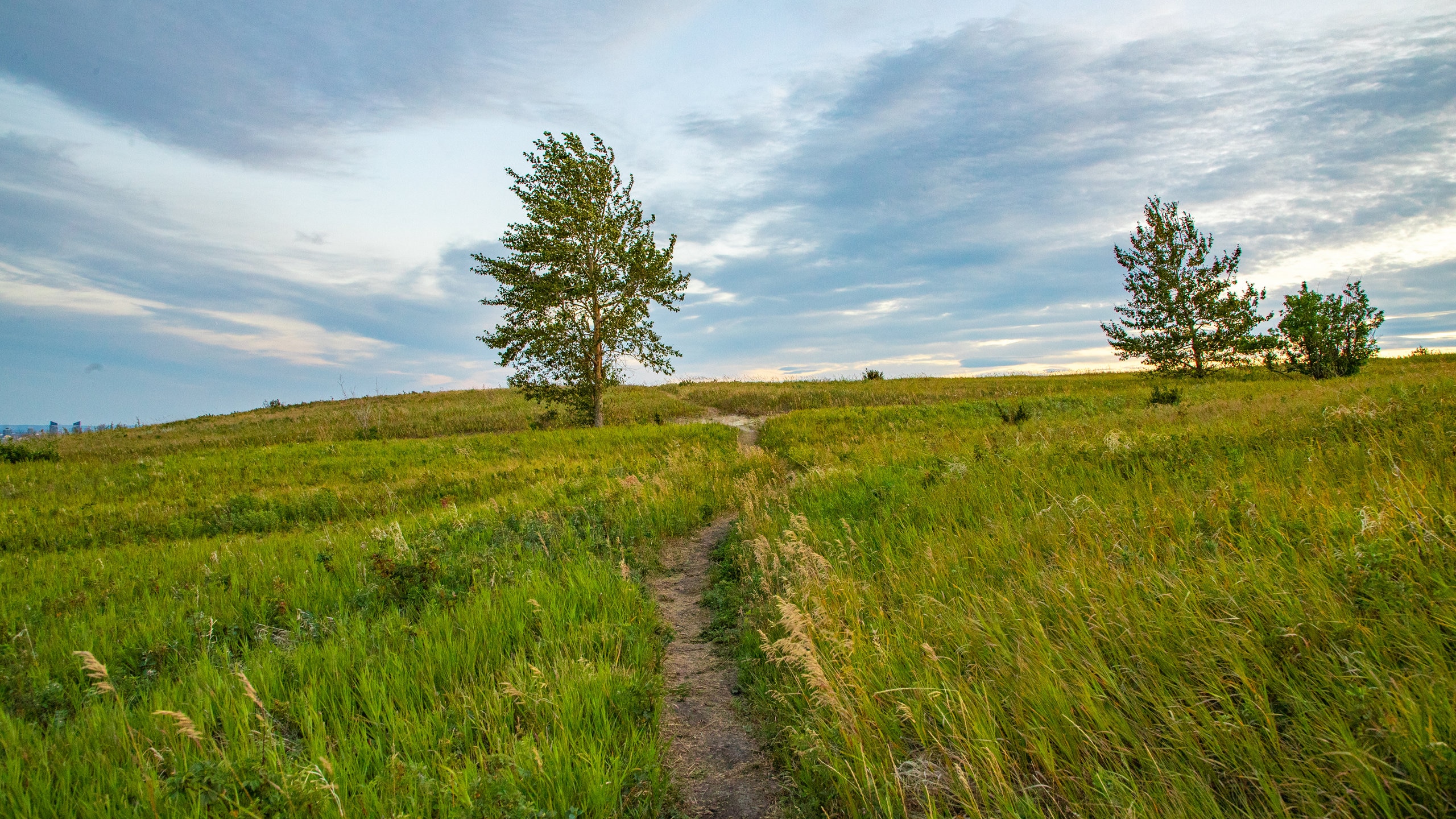 Nose Hill Park in Northwest Calgary - Tours and Activities