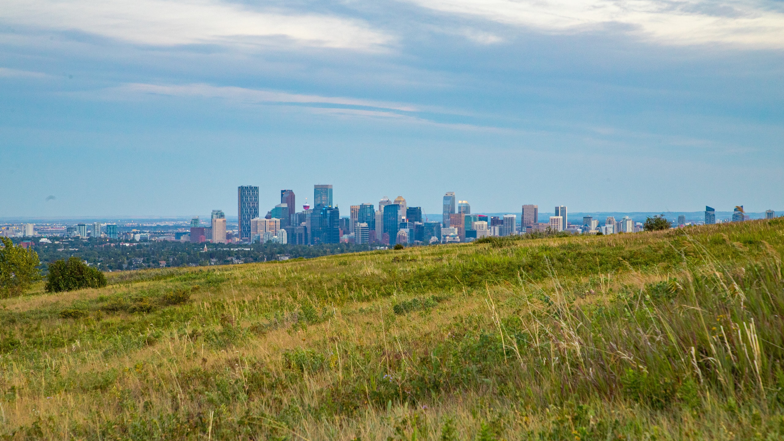 Nose Hill Park in Northwest Calgary - Tours and Activities