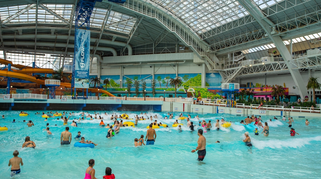 West Edmonton Mall which includes swimming, interior views and a pool