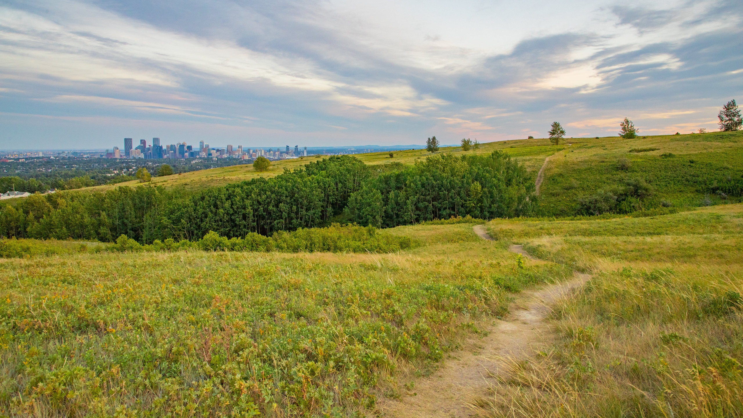 Nose Hill Park in Northwest Calgary - Tours and Activities